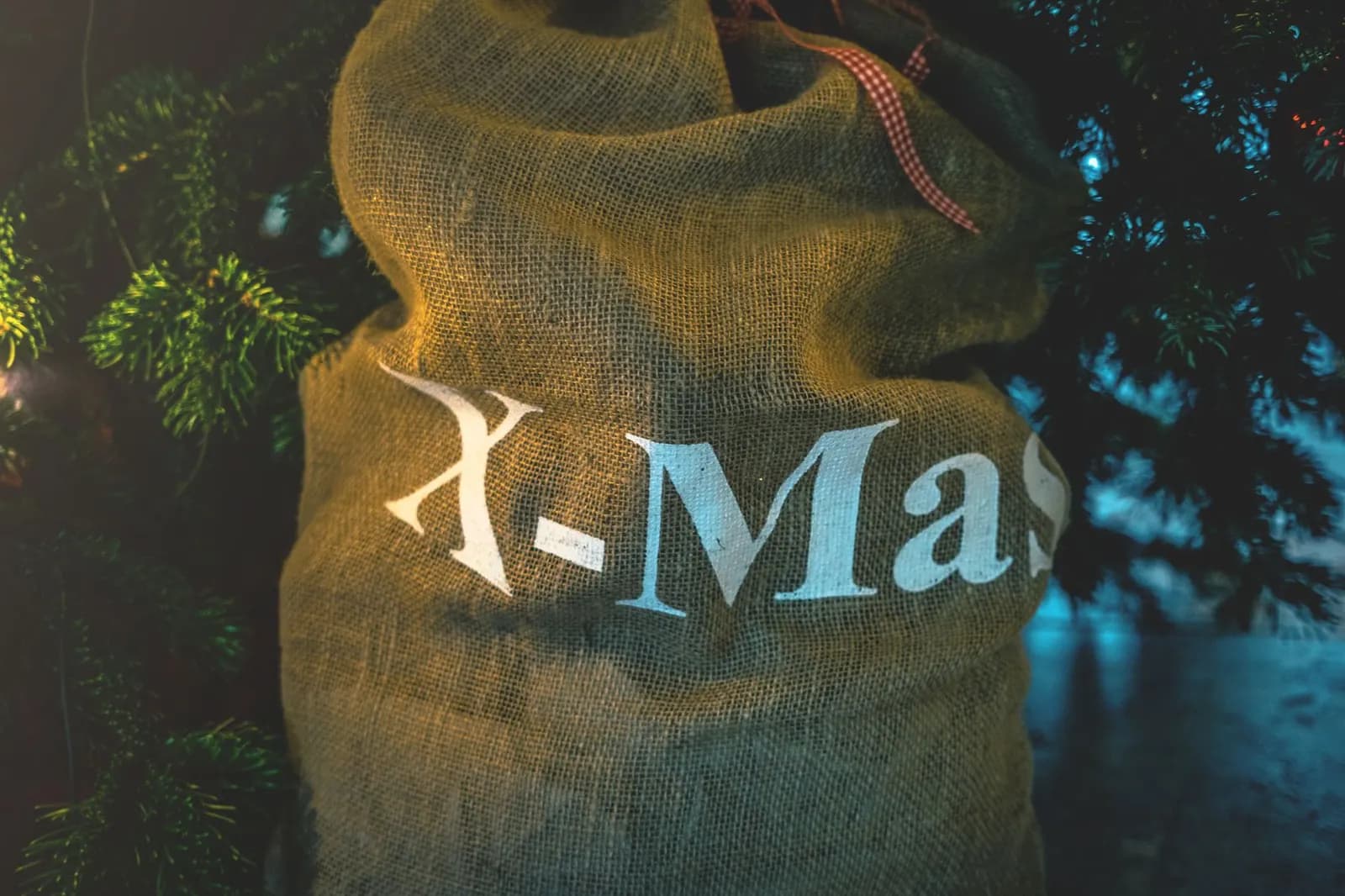 Green duffel-style Christmas tree storage bag with handles on a closet floor