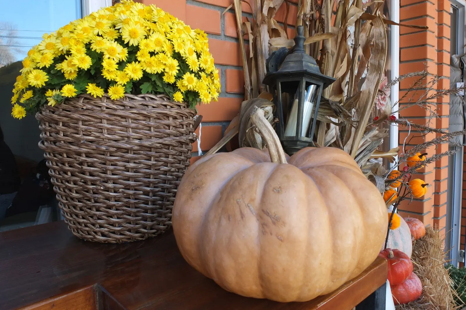 Yellow mum in a wicker basket beside a tan pumpkin, a black lantern and corn stalks on a brick porch