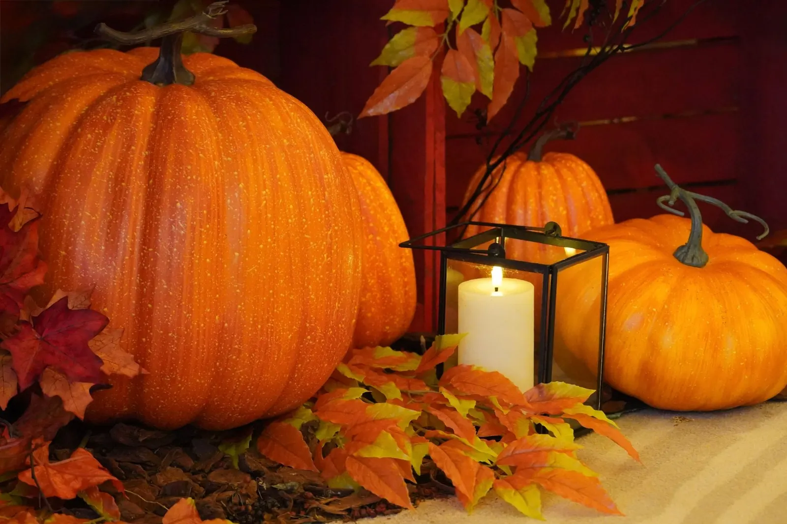Black glass lantern with a white pillar candle among orange pumpkins and fall leaves