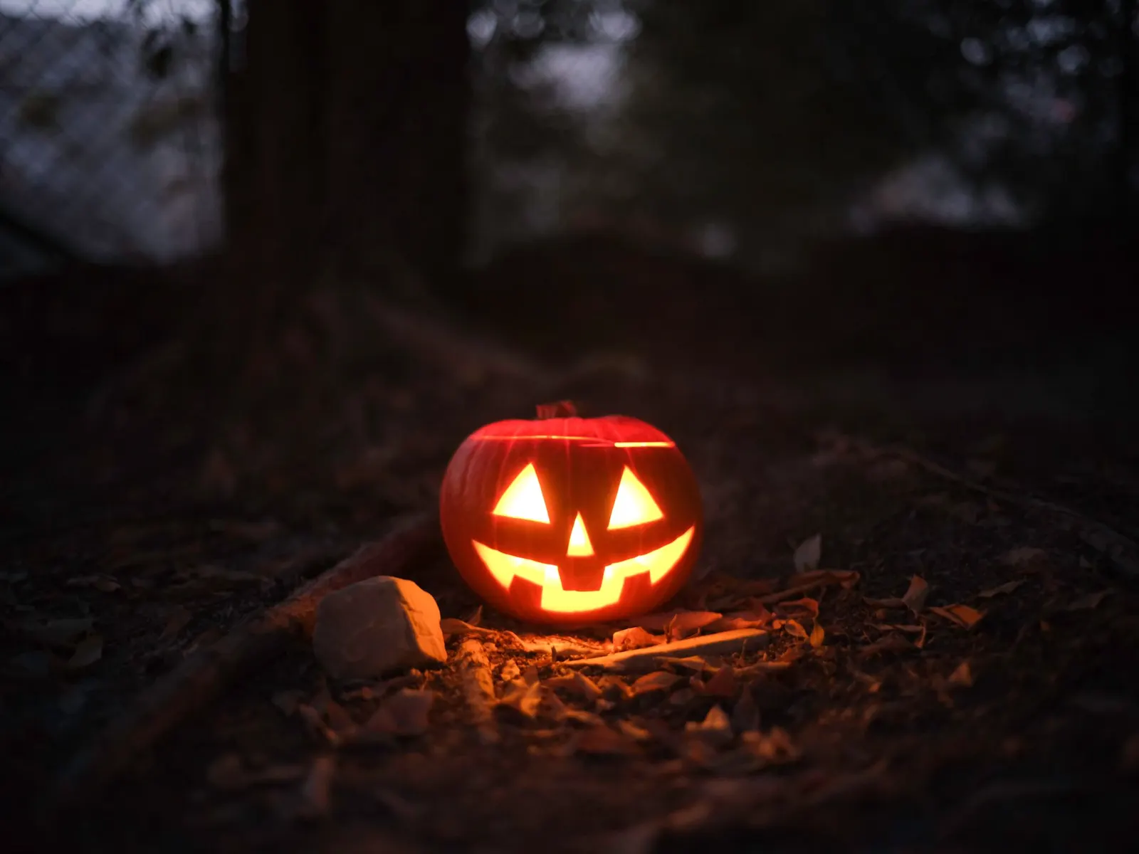 Glowing carved jack-o-lantern on the ground outdoors at night
