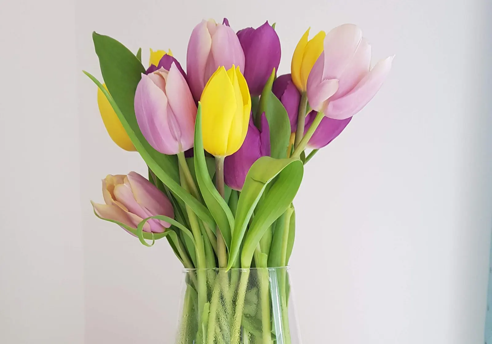 Pink and white tulips in a clear glass cylinder vase on a wood tray beside speckled eggs