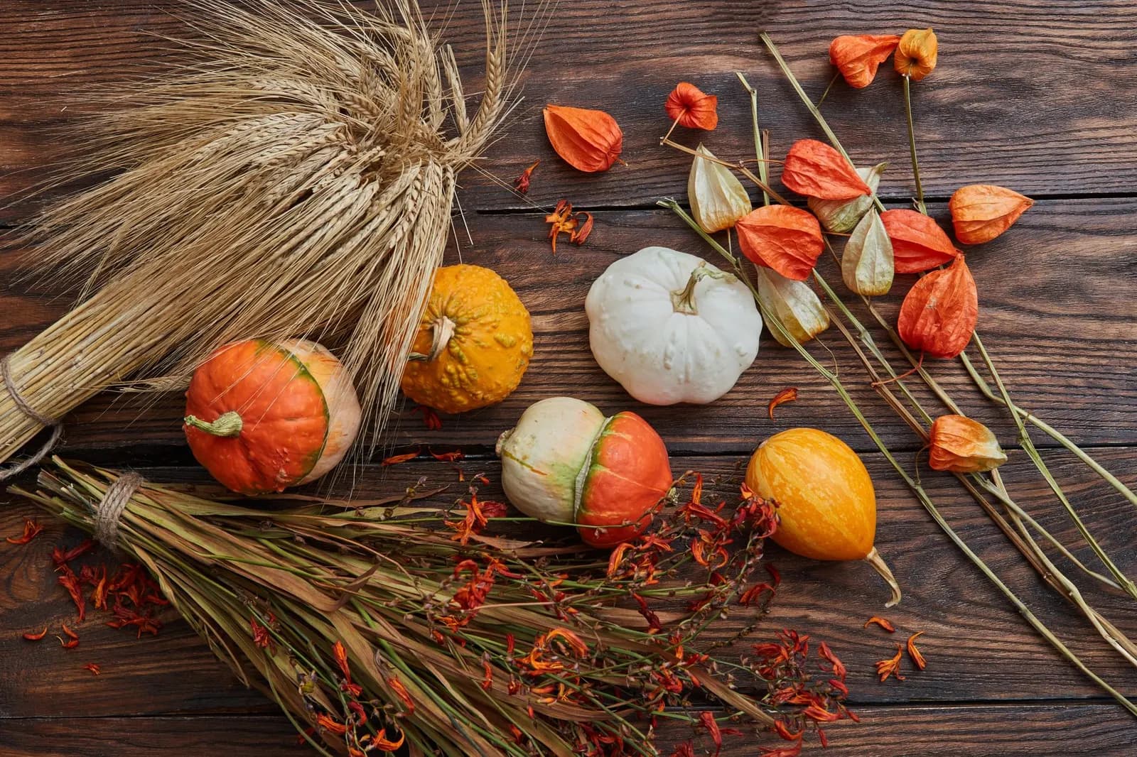 An artistic display of pumpkins, dried flowers, and wheat on a wooden table.