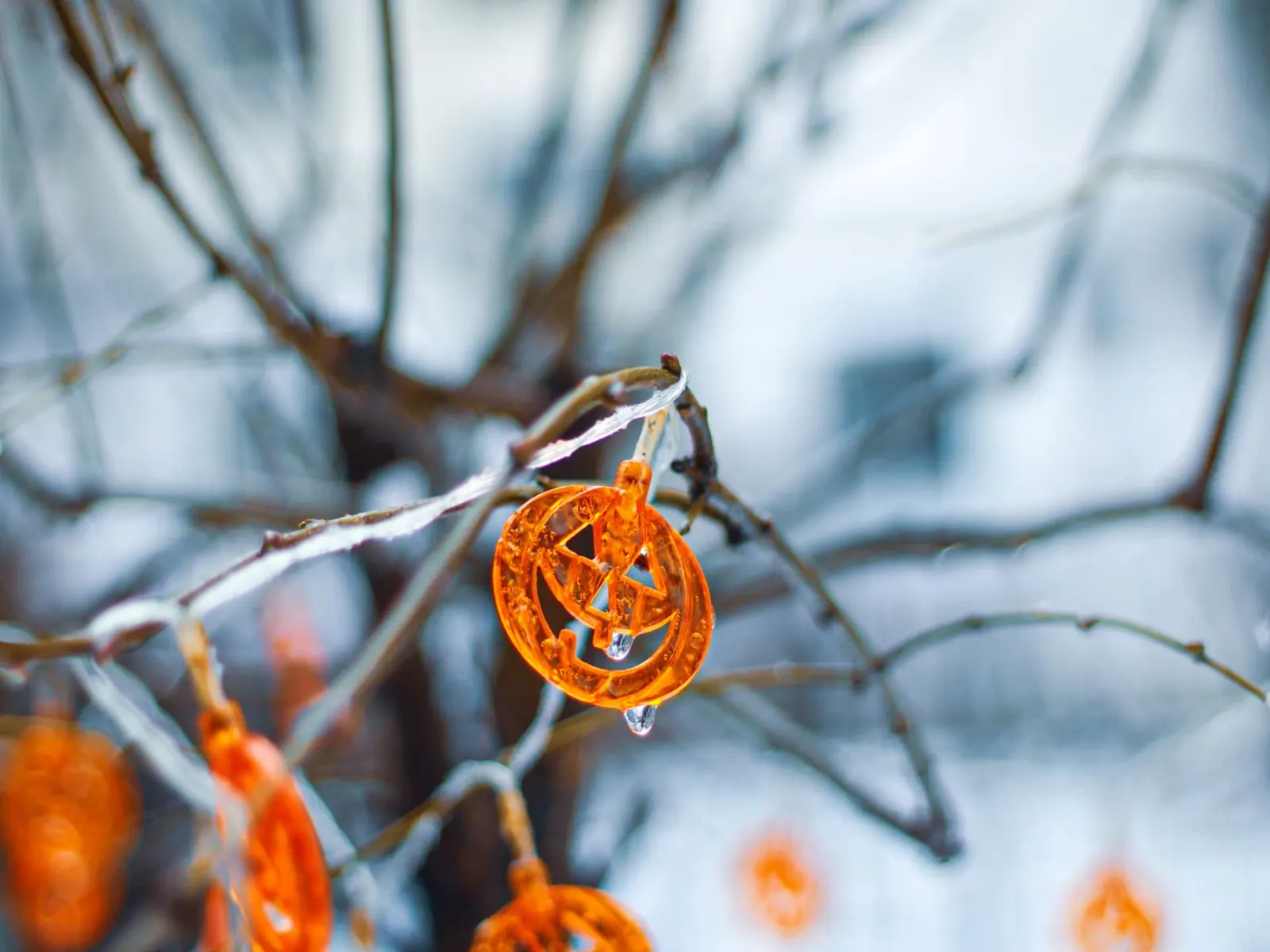Close-up of Halloween pumpkin decorations on icy tree branches for a spooky fall ambiance.