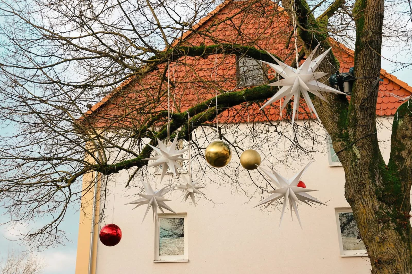 Decorative Christmas ornaments and stars hanging on a bare tree branch outdoors against a house.